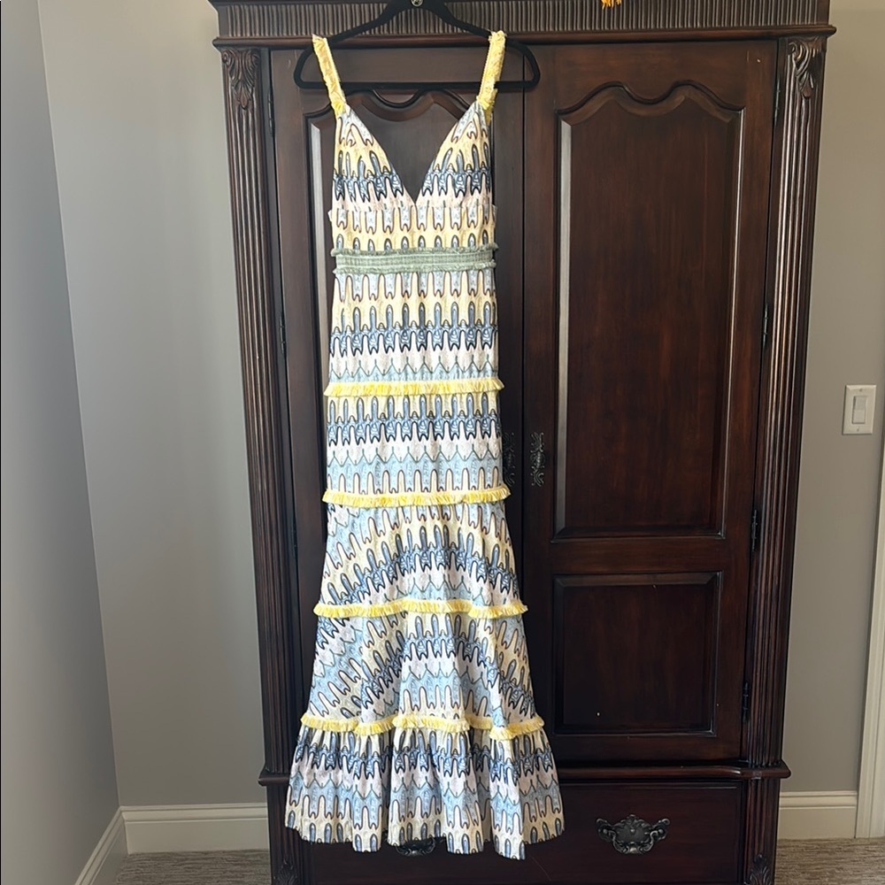 Alexis designer convertible maxi to mini dress!